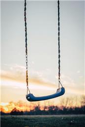 New Playground - Metal or Wood?